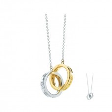 Tiffany 1837 Collana con ciondolo a cerchi intrecciati in argento sterling Recensione da donna negli Stati Uniti