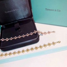 Tiffany Schlumberger Lynn Bracciale Rosa/Giallo Oro Argento X Ornamenti Cristalli Set UK